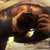 ashleymenard122 :iconashleymenard122: