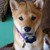AshleyNelson :iconashleynelson: