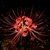 Ashura-Hime :iconashura-hime: