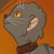 AskGoverntale :iconaskgoverntale: