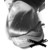 asphyxiat3d :iconasphyxiat3d: