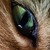 :iconatlaspng: