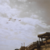 AtLastingFeedbacker :iconatlastingfeedbacker:
