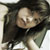 auroracat :iconauroracat: