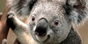 Aussie-photography's avatar