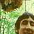 Autumm-lau :iconautumm-lau: