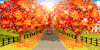 Autumn-Affection's avatar
