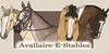 Avallaire-Equine-S's avatar
