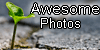 Awesome-Photos's avatar