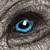 Ayreena :iconayreena: