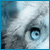 Azelah :iconazelah: