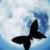 azi91 :iconazi91: