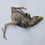 B-aruaL-Adopts :iconb-arual-adopts: