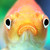 :iconbabsstabs: