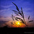 bacardi870 :iconbacardi870: