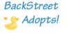 BackStreet-Adopts's avatar