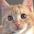 bacon-cake :iconbacon-cake: