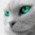 badzhoo :iconbadzhoo: