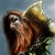 bakkatin :iconbakkatin: