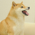 BananaPhoPhilly :iconbananaphophilly:
