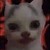 Band-Maid :iconband-maid:
