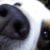 BarbedXSkullXCap :iconbarbedxskullxcap: