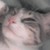 BarentainChimiZ :iconbarentainchimiz: