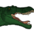 :iconbaryonyx62: