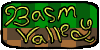 Basm-Valley's avatar