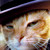 bayar07 :iconbayar07: