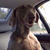 BAZZDEMON :iconbazzdemon: