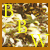 DeviantArt profile picture for @BBW on DeviantArt