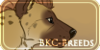 BCKs-Breeds's avatar