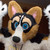 bdever :iconbdever: