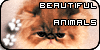 Beautiful--Animals's avatar