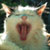Bellybutin :iconbellybutin: