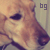 below-gravity :iconbelow-gravity: