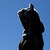 beriphotos :iconberiphotos: