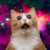 berkayy90 :iconberkayy90: