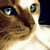 Berryflame :iconberryflame: