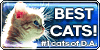 BestCats's avatar