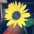 Bewaremyfist13 :iconbewaremyfist13: