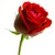 bhtbr :iconbhtbr: