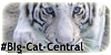 :iconbig-cat-central: