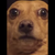 BigBadMarmot :iconbigbadmarmot:
