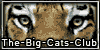 Bigcats-fanclub's avatar