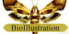 BioIllustration's avatar