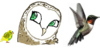 Bird-Lovers-Unite's avatar