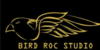 BirdRocStudio's avatar