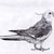 birdyluv0 :iconbirdyluv0: